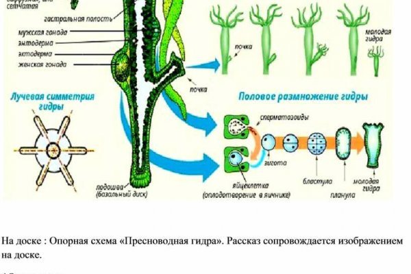 Ссылка на кракен зеркало